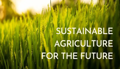 Factsheet on Sustainable Agriculture – TIGS